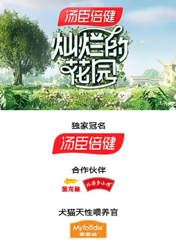 灿烂的花园 海报