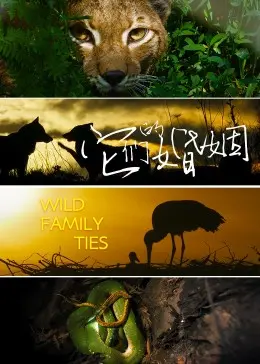 《它们的婚姻》：当外星生物入侵家庭，婚姻的真相竟如此科幻？